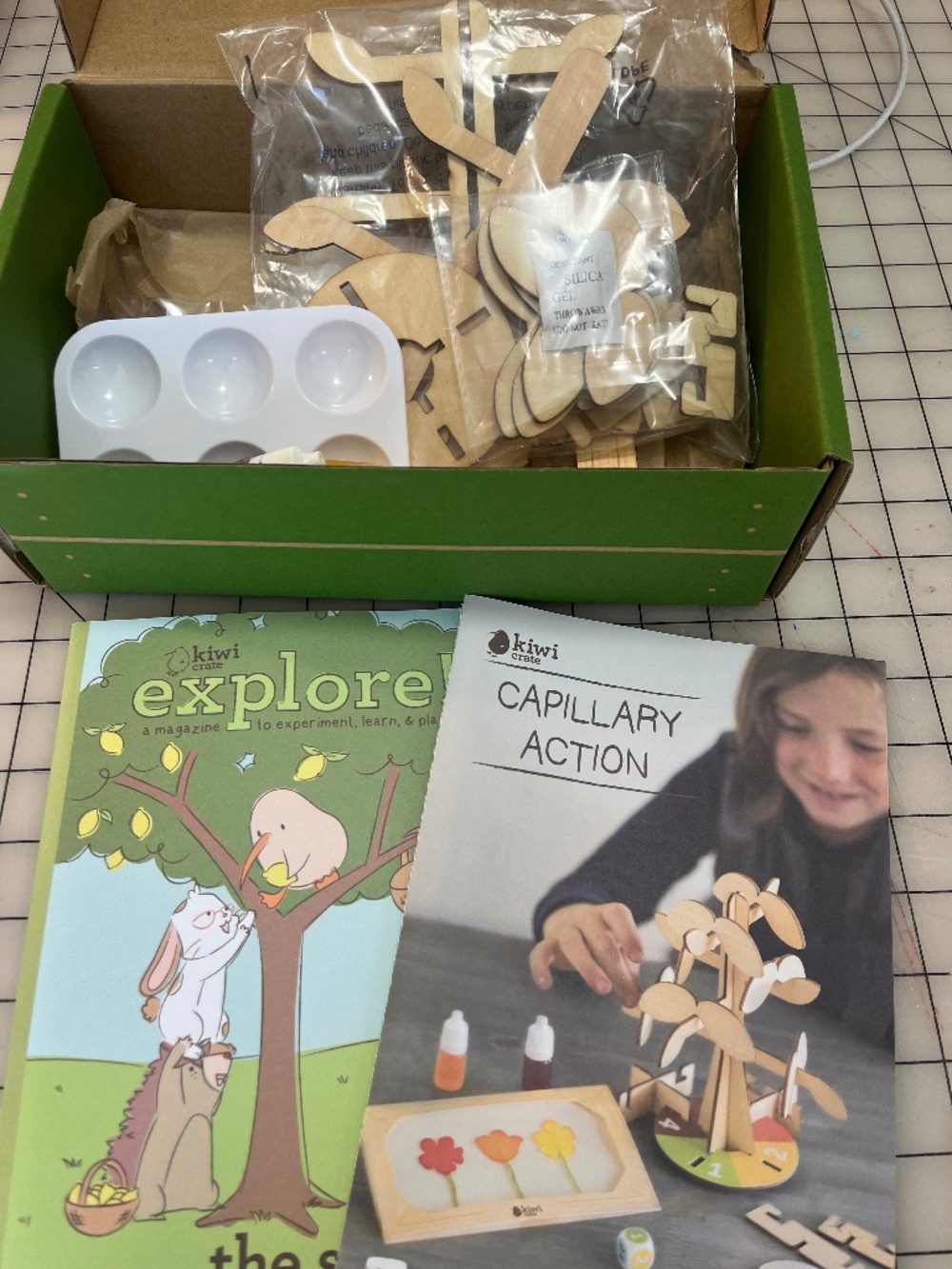 Capillary Action Kiwi Crate NIB